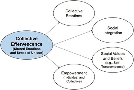  Collective Effervescence: Exploring Ritual and Social Change Through Durkheim -  A Journey into the Heartbeat of Humanity